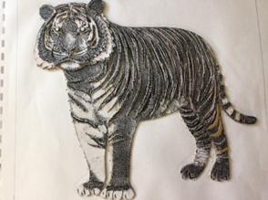 Tactile Graphic of a Tiger